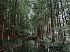 -九曜山