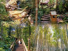 -祁门牯牛降观音堂风景区