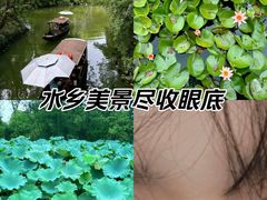 -西溪国家湿地公园