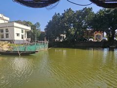 -江门古劳水乡旅游区