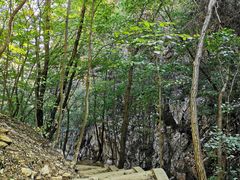 -大连天门山国家森林公园