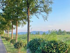 -东钱湖旅游度假区