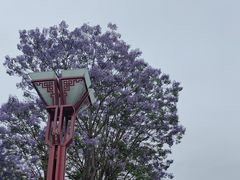 -眉山湿地公园(东坡区)