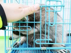 -德元·美联众合24小时动物医院(总院)