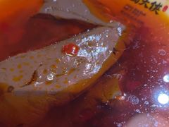 -蜀大侠火锅(森兰花园城店)