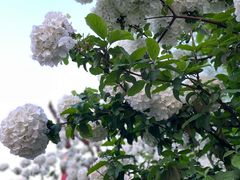 -大龙山(地铁站)