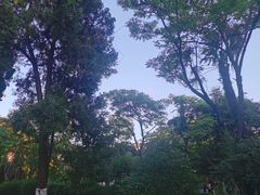 -花溪公园