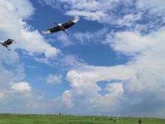 -黑龙江扎龙生态旅游区
