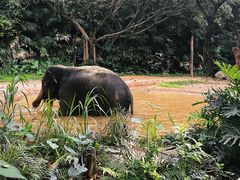 -广州长隆旅游度假区