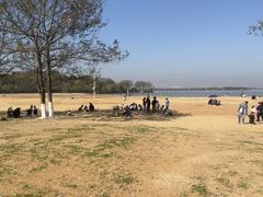 -瑶湖郊野森林公园