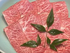 -然锅料理