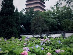 -西安博物院