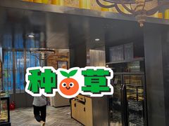 -正苑26年海鲜烤肉•牛尾汤汤饭(东港店)