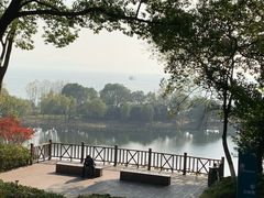 -上海市保健医疗中心