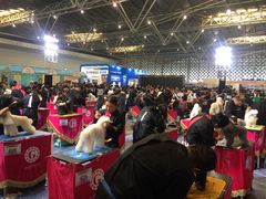 -东浩兰生上海世博展览馆