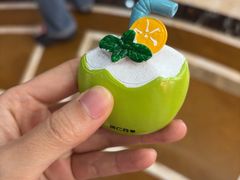 -同仁四季椰子鸡(海岸城天利店)