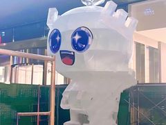 -东北大学附属辽宁爱尔眼科医院