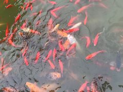 -祝家花園(伯渎港店)