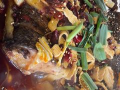 -陈生记黑鱼馆·20年活鱼现杀(宁波鼓楼店)