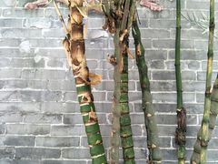-三·廿九起义指挥部旧址纪念馆