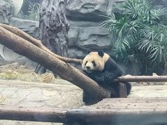 -乐和乐都主题乐园