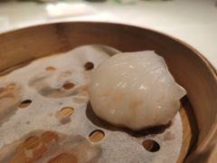 原汁鲜虾饺-利苑酒家(华熙国际店)
