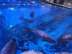 -海合安青岛极地海洋公园