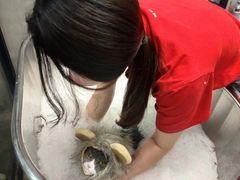 -PETKIT 小佩宠物·低压洗护·美容·寄养(安远店)