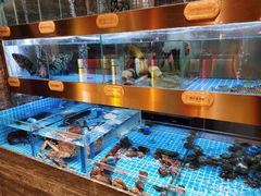 -ONE FULL 古董港式海鲜火锅