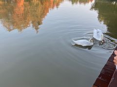 -宁波杭州湾国家湿地公园