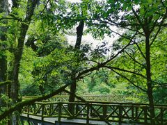 -龙苍沟森林公园