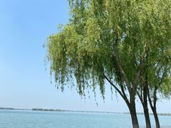 -漕湖湿地公园