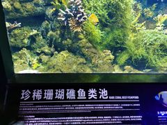 -江和美海洋公园