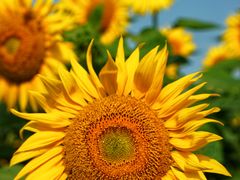 -奥林匹克森林公园北园-停车场