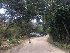 -艾米稻香小镇