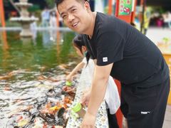 -南湖梦幻岛