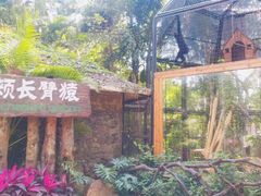 -海南热带野生动植物园