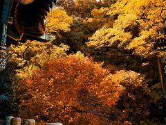 -香山公园