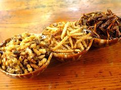 -缘生态云南菜·野生菌庭院餐厅(华侨城店)