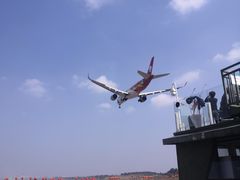 -空港花田景区