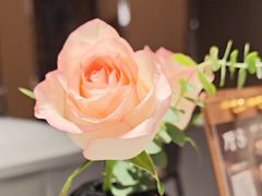 -阿五黄河大鲤鱼(陇海西路店)