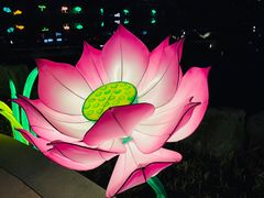 -诗经里