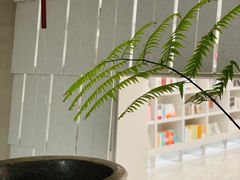 -二酉书店TOYOU BOOKS