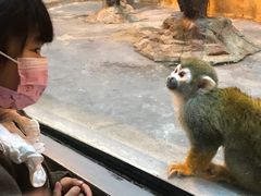 -泉城欧乐堡海洋极地世界