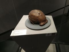 -北京周口店北京人遗址博物馆