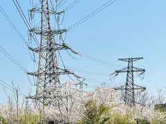 -外高桥保税区南(地铁站)