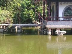 -水绘园