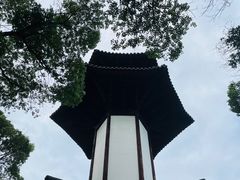 -上海佘山国家森林公园天马山园