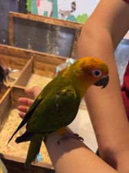 -酷嗒动物文化乐园(cutezoo西溪乐天城店)