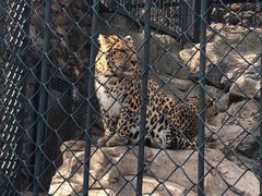 -大连森林动物园